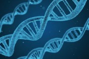 篮球专项技能教学创新与实践研究及效果评估，篮球教学实施报告 教学能力比赛