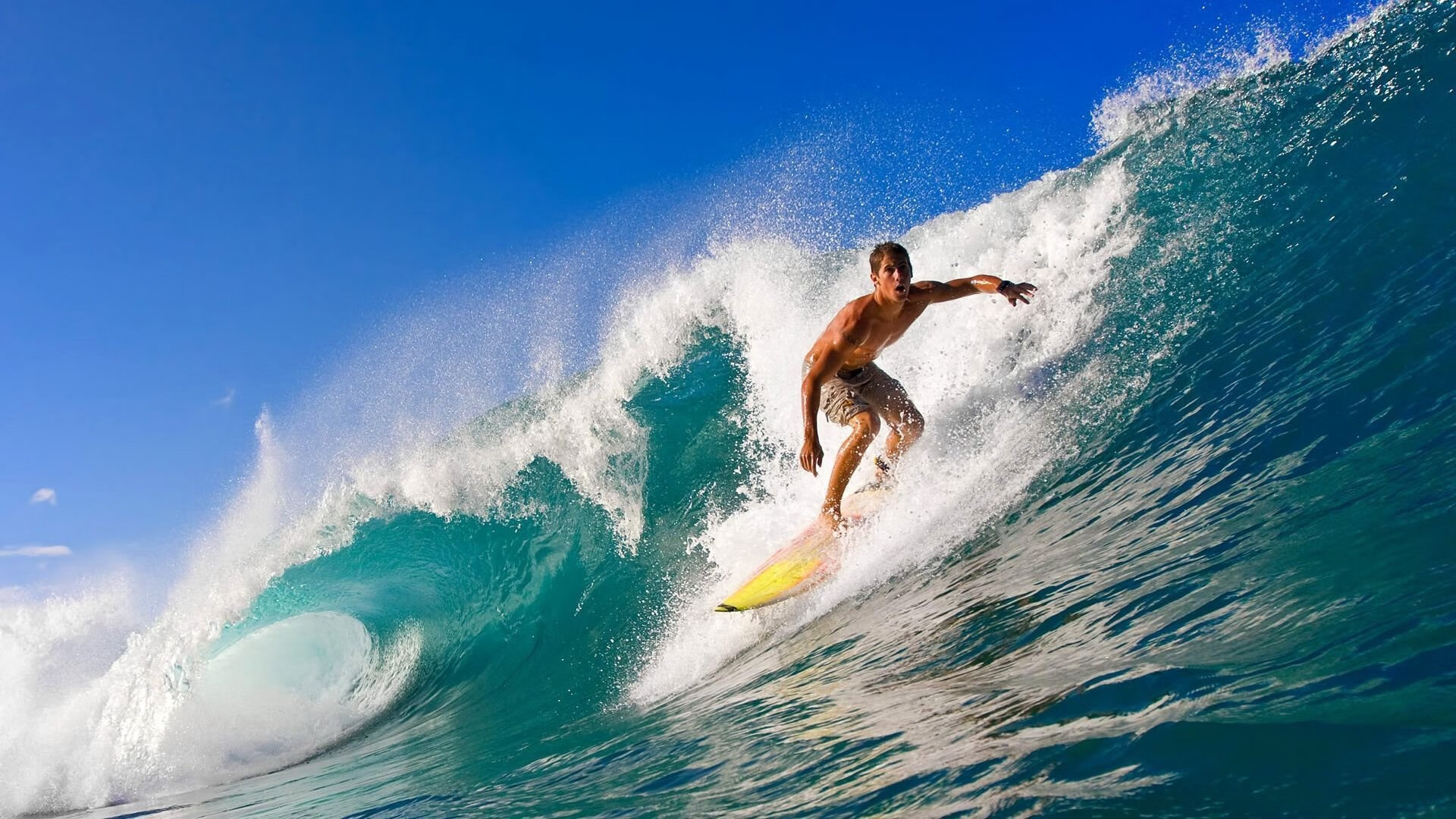 “安赫尔·巴尔博萨的全面能力与比赛经验，推动美洲狮队成为世界级强队”